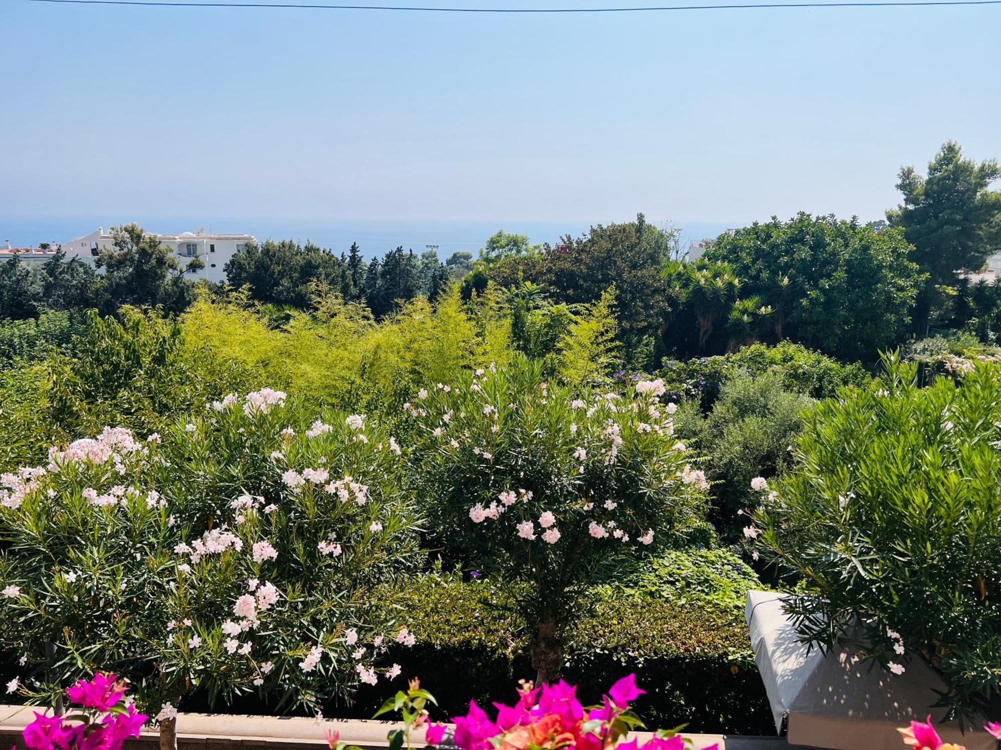 La Pompeiana Capri