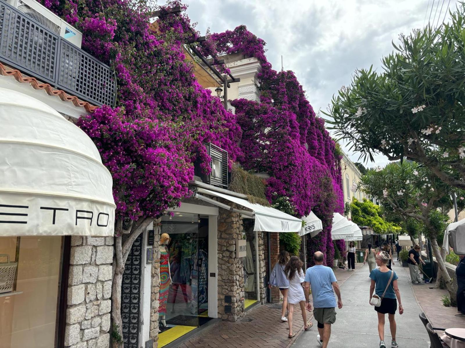 La Pompeiana Appartamento Capri